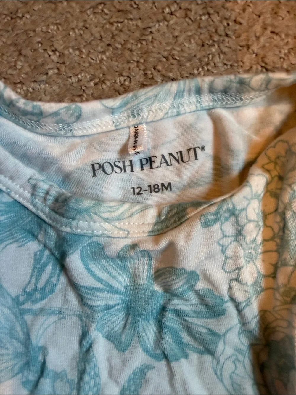 Posh Peanut Aqua Floral Ruffle Bummie Set